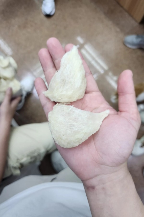 Premium Triangle Bird's Nest Cups 150g