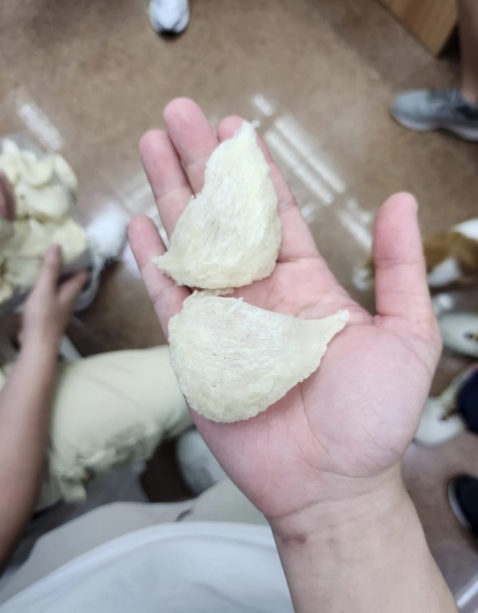 Premium Triangle Bird's Nest Cups 150g